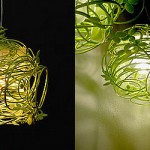 Foliage Lamp